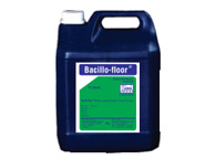 Bacillo floor