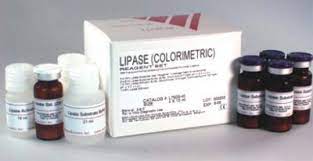 lipase