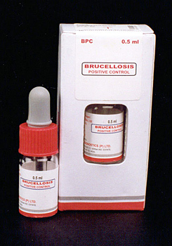 brucellosis